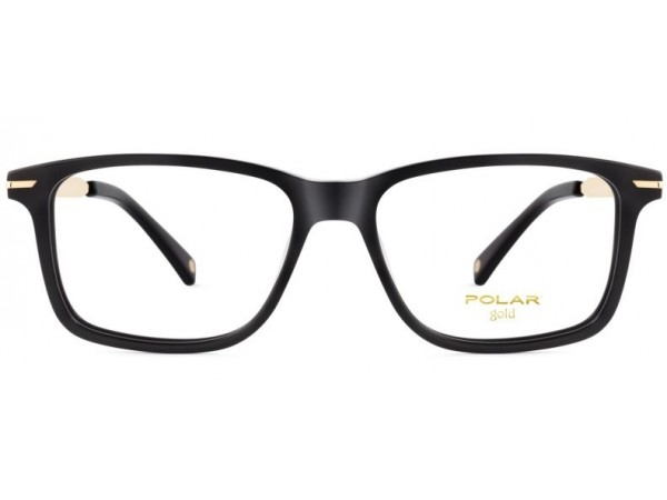 Pánske okuliare POLAR Gold 1010 77