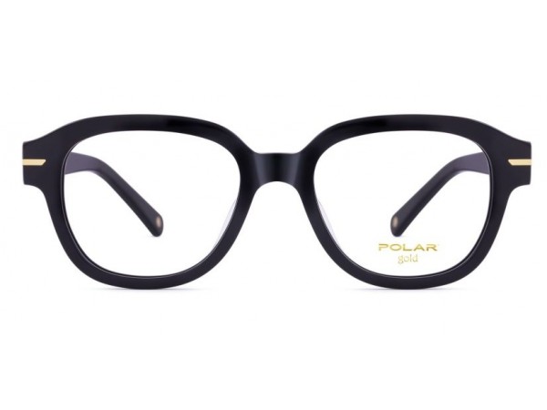 Unisex okuliare POLAR Gold 1015 77